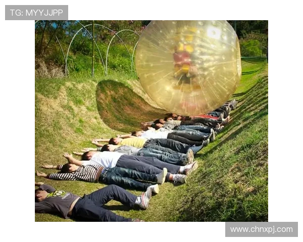 真人滚球娱乐平台有哪些值得推荐的优质平台可以让玩家体验真实的滚球娱乐乐趣