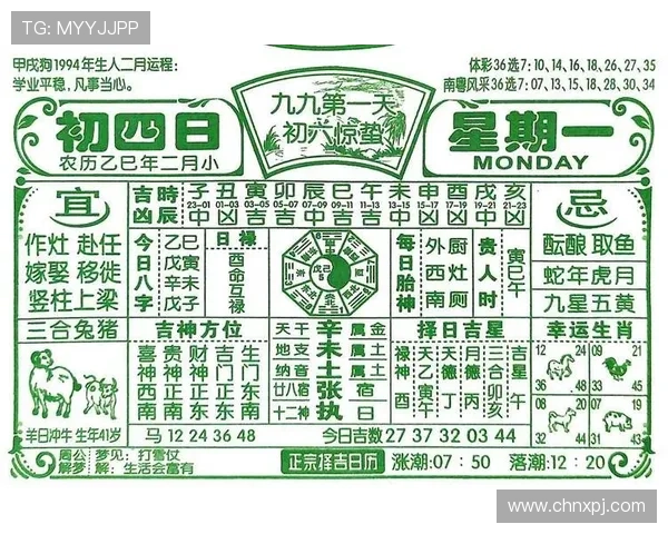 全面解析六合彩棋牌的规则与玩法让新手快速上手掌握赢取秘诀的实用指南